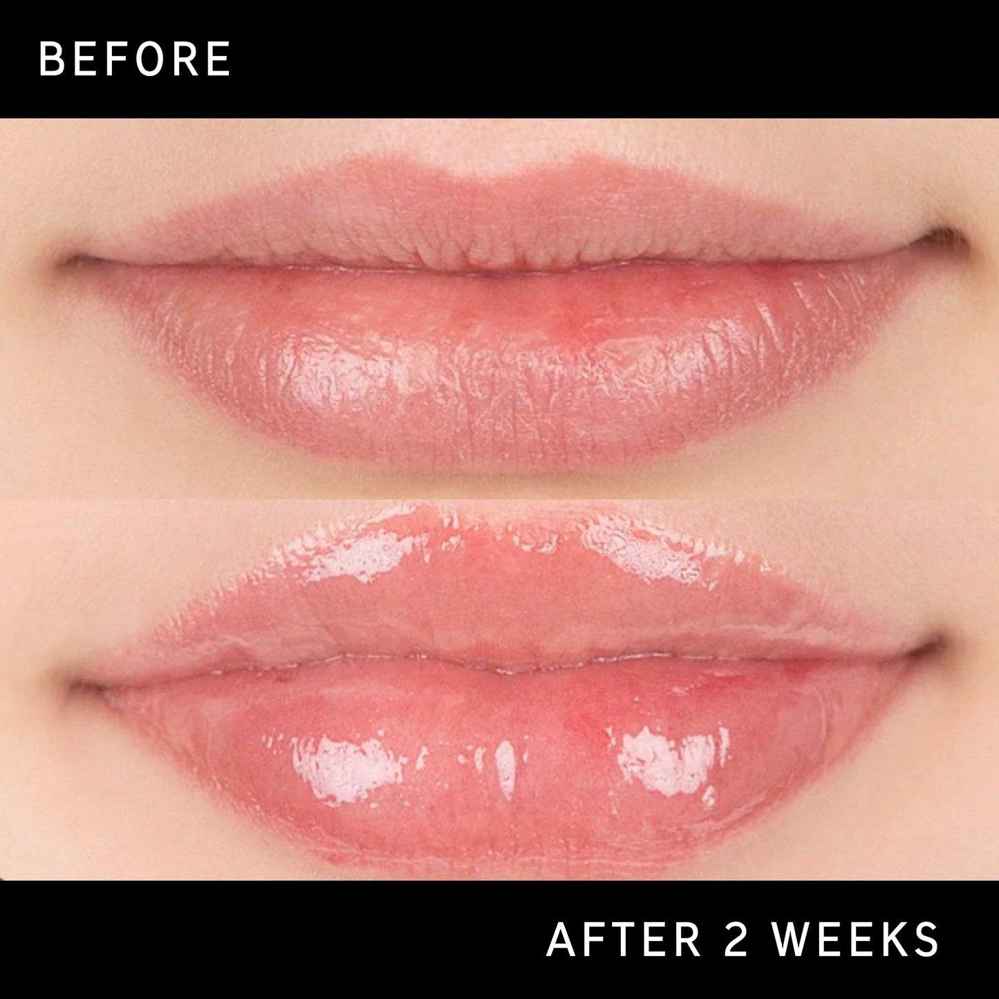 lip-plumping-duo-e4 DTC-Top15_Amends_Tripeptide-Lip_B_A.jpg